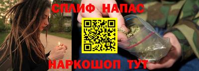 крисы Кулебаки
