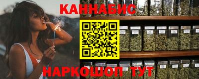крисы Кулебаки