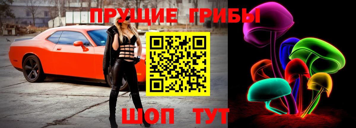 Татарск  Галлюциногенные грибы Magic Shrooms  Вход с VPN 